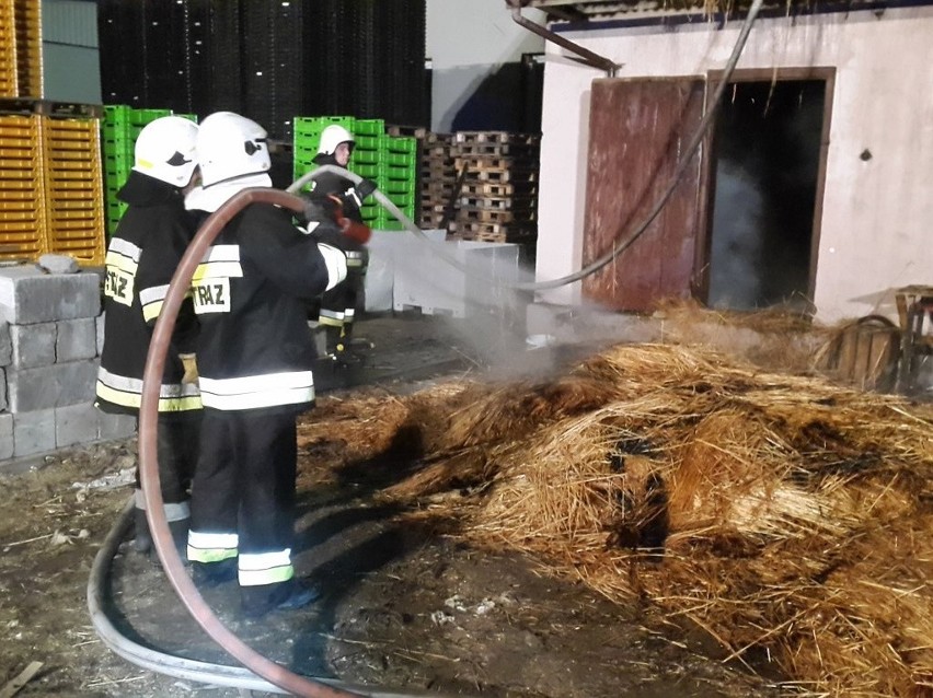 Gmina Lipsko. Pożar zabudowań w miejscowości Śląsko