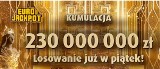 EUROJACKPOT WYNIKI 14.06.2019. Eurojackpot Lotto losowanie 14 czerwca 2019. Ktoś wygrał 230 mln zł? [wyniki, numery, zasady]