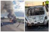 Mężenin. Auto stanęło w płomieniach na krajowej ósemce. Ogień gasiły cztery zastępy strażaków (zdjęcia)