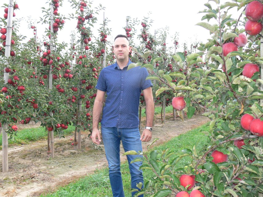 Marcin Czuja uprawia siedem odmian jabłoni. Na zdjęciu z...