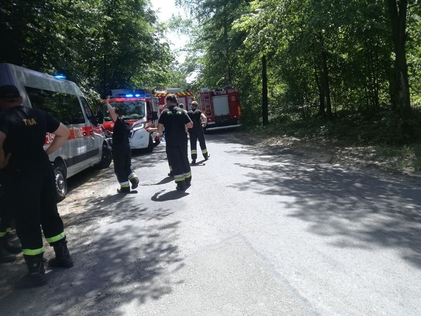 Olkusz. Auto roztrzaskało się na drzewie w lesie w Mazańcu. Kierowca uciekł