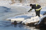 Złotoria. Samochód wjechał do rzeki Narew. Strażacy nie znaleźli ciała kierowcy (zdjęcia)