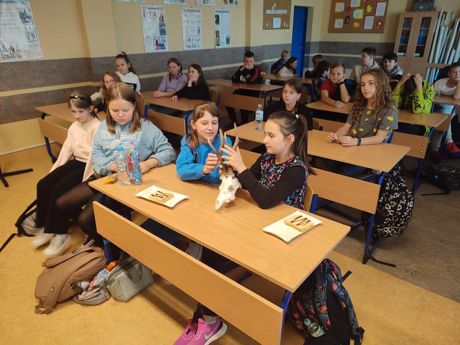 Leśna edukacja w Szkole Podstawowej w Łącznej. Zobacz zdjęcia | Echo