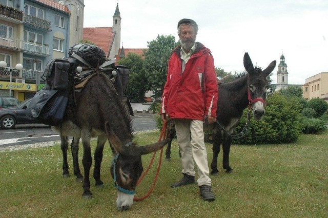 Od 15 lat wedruje tak po calej Europie &#8211; pieszo, z dwoma osiolkami. Teraz 68-letni Francuz Jacques zawedrowal równiez do Polski. Spotkaliśmy go w Oleśnie.