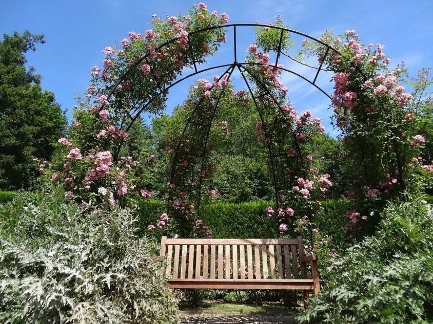 Ławka w ogrodzie angielskim | e-Ogródek