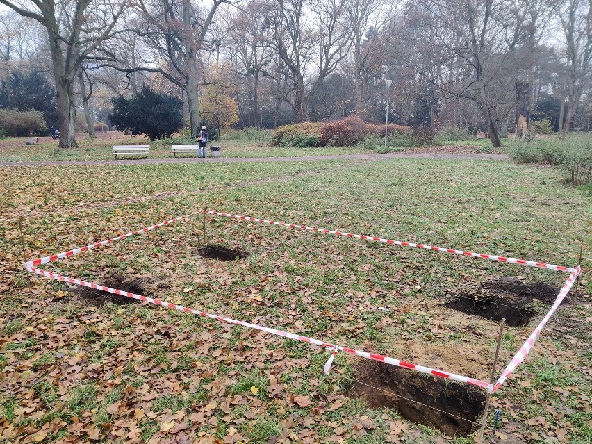 Ruszył montaż nowych mebli miejskich w Szczecinie. Gdzie pojawią się hamaki?