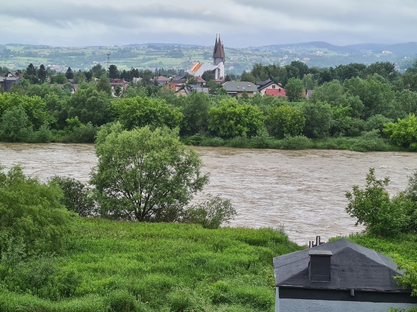 Nowy Sącz.  Wzburzony Dunajec przybiera na sile. Kamienica przekroczyła stan ostrzegawczy [ZDJĘCIA]