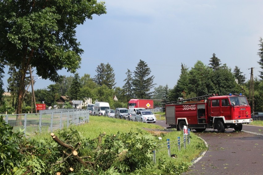 Potężna burza przeszła w Zamościu i w okolicznych gminach. Wiatr przewracał drzewa i budynki, zrywał dachy. Zobacz zdjęcia