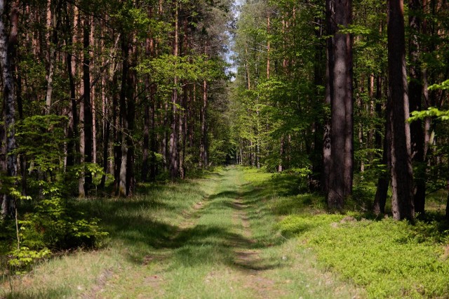 Na terenie woj. lubelskiego znajduje się ponad 3,3 tys. wsi, 50 miast, w tym 4 miasta na prawach powiatu.