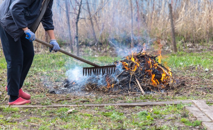 Spalenie zalegąjących gałęzi i innych odpadów roślinnych to...