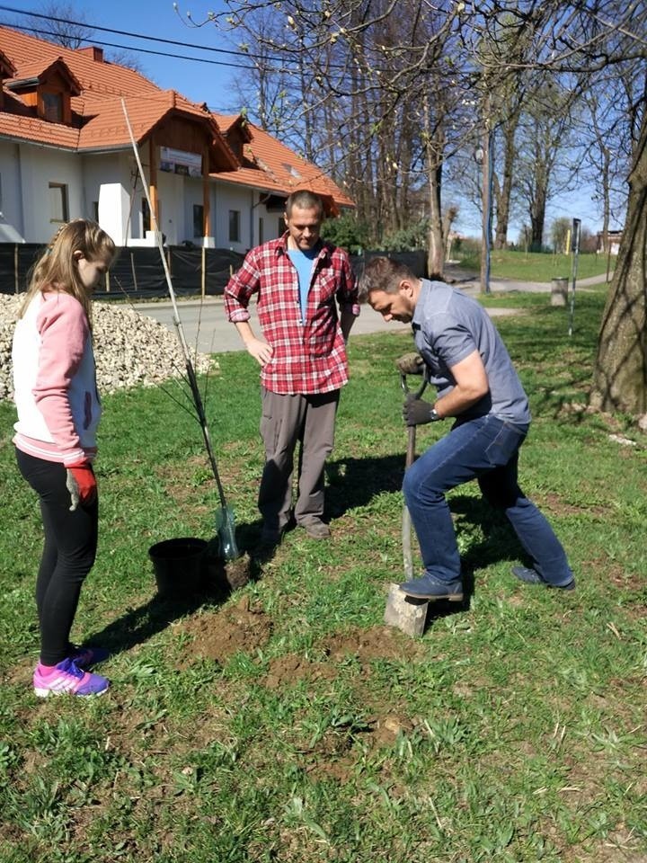 Mieszkańcom Czajowic w sprzątaniu i sadzeniu drzew pomagali wójtowie