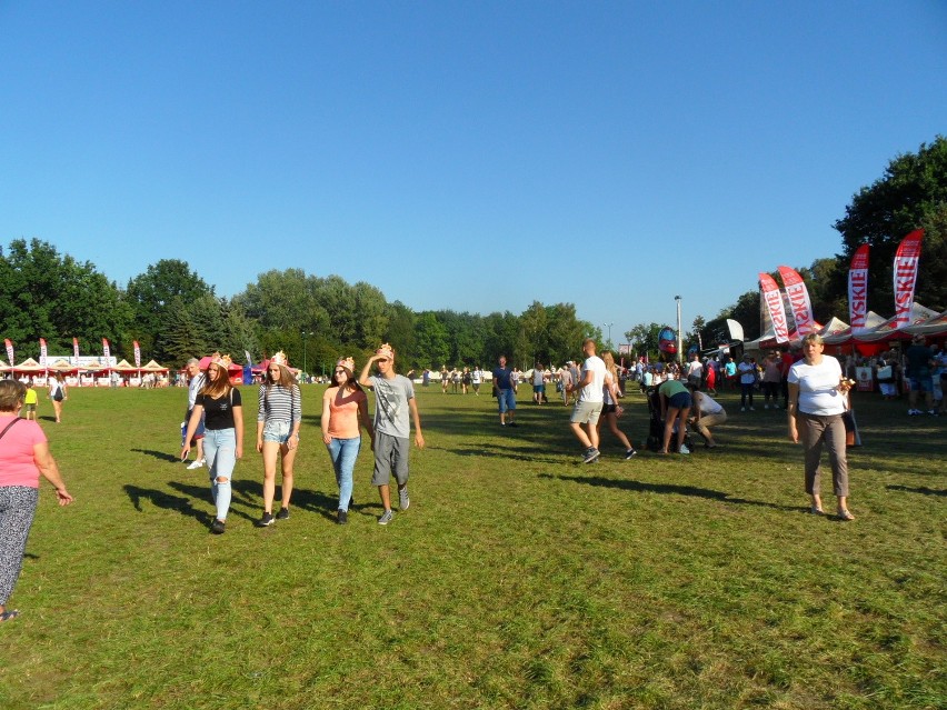 Beerfest 2016 w Parku Śląskim Zobacz więcej zdjęć z soboty...