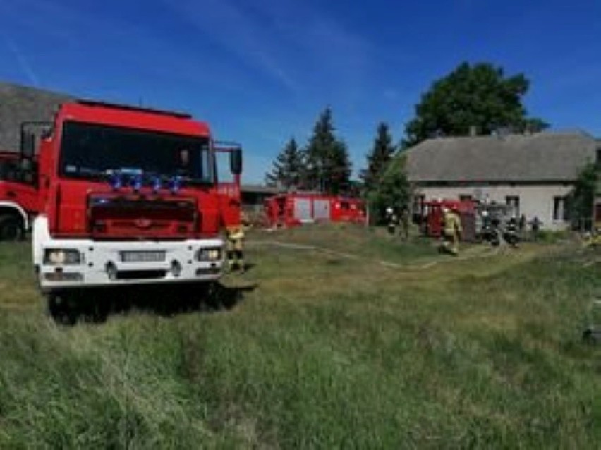 - Sytuacja została opanowana przez strażaków z OSP Stanomin,...