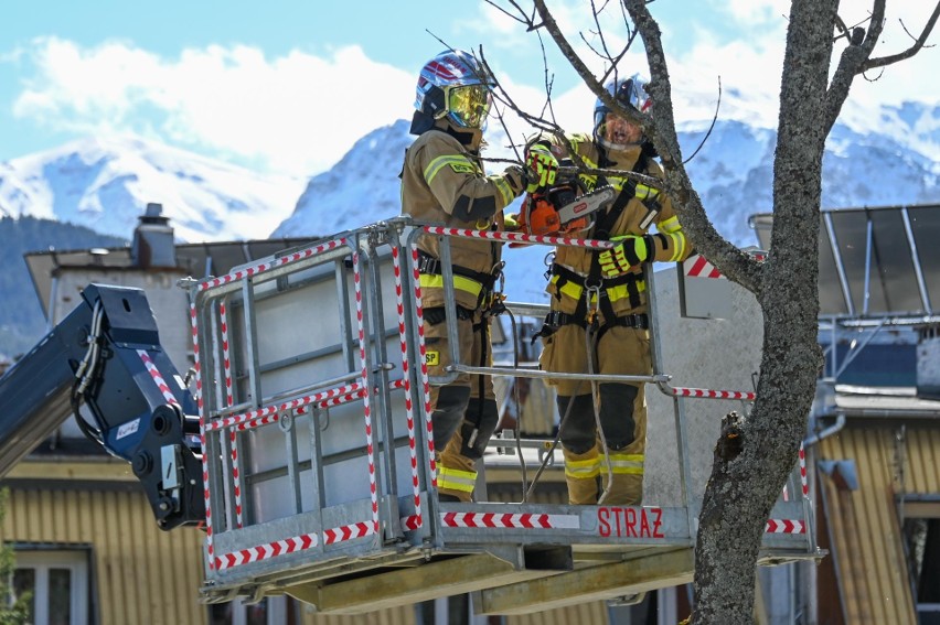 Strażacy usuwają drzewa stwarzające zagrożenie
