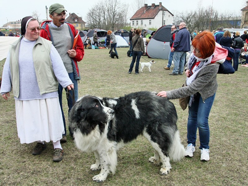 XXXVI Krajowa Wystawa Psów Rasowych w Grudziądzu CzI