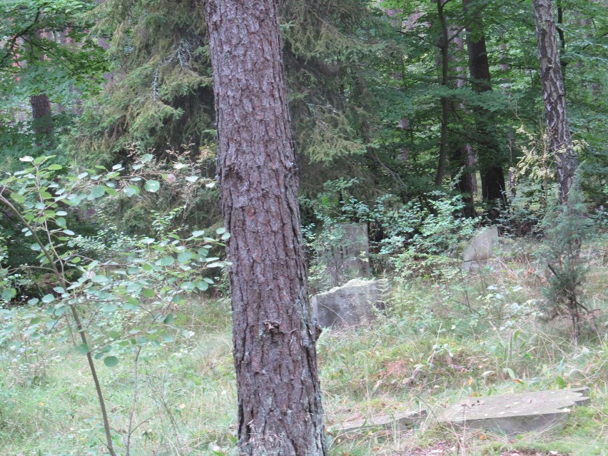 Cmentarz żydowski w miejscowości Borówno Wielkie