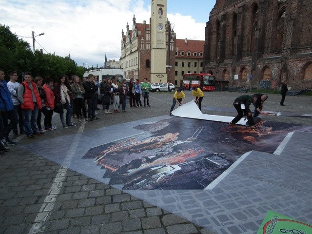 Tak wyglądała akcja Greepeace Polska w Gubinie