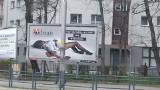 Młoda kobieta w kałuży krwi. Szokujące billboardy we Wrocławiu