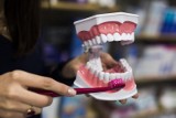 Dentyści wrócą do wrocławskich szkół