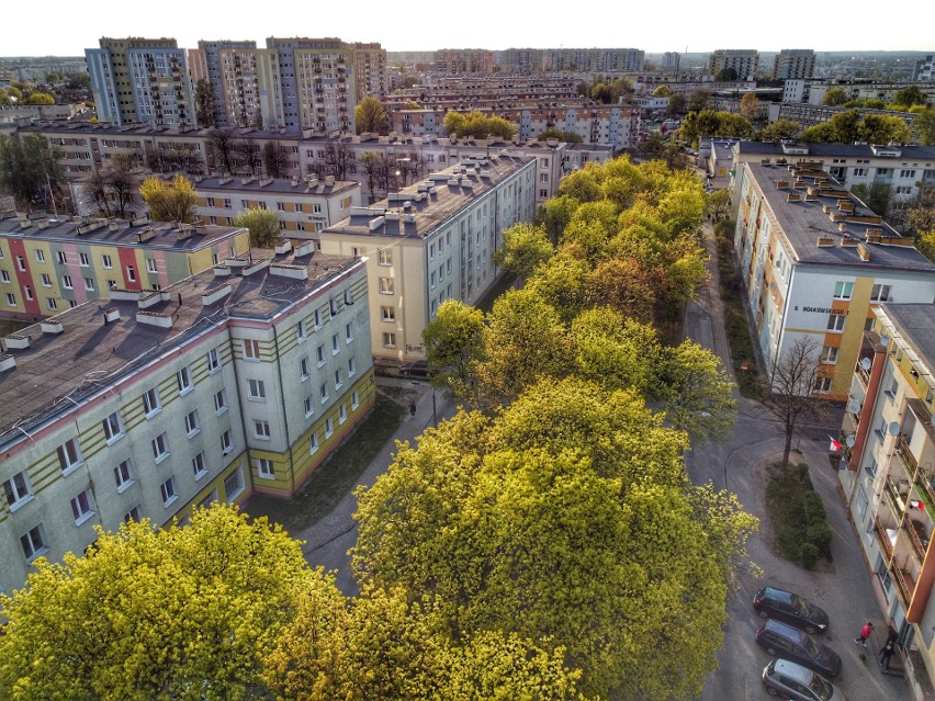 Piękna wiosna w parku na bydgoskich Kapuściskach. Zobacz zdjęcia z drona