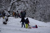 Zima w Parkach Podjasnogórskich. Tłumy częstochowian wybrały się na sanki. Jest też 2-metrowy bałwan, a służby miejskie walczą ze śniegiem