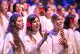 Święto Matki Boskiej Zielnej i Wojska Polskiego z koncertem na błoniach w Stalowej Woli