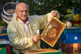 Pszczelarze muszą zdobywać wiedzę o zmianach we współczesnym świecie