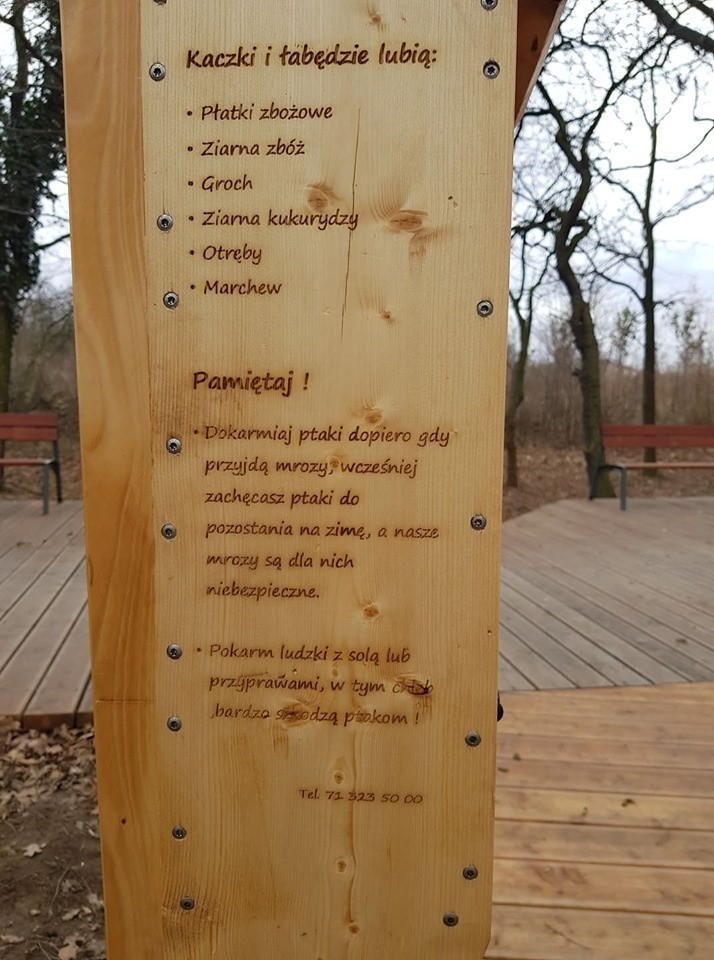 Wrocław: w parku stanął automat na przysmaki dla kaczek