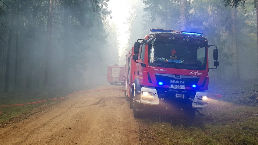 18 zastępów straży walczyło z pożarem lasu w pobliżu...