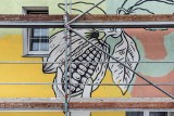 Plantacja kakao - nowy mural powstaje w centrum Łodzi 