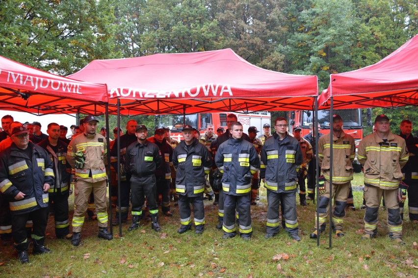 Strażacy z regionu radomskiego na manewrach w lesie koło Sadku w gminie Szydłowiec. Ćwiczyli wspólną akcję służb