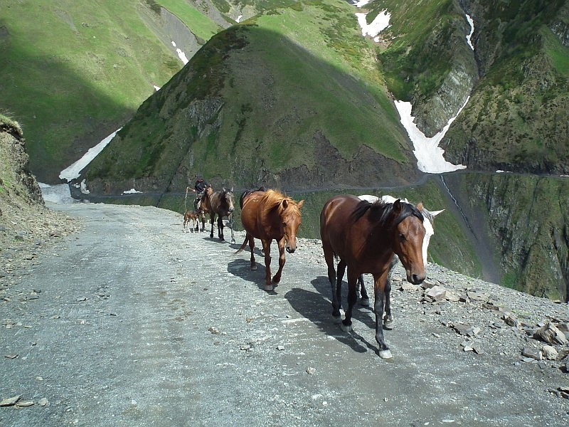 Gruzja. Tuszetia