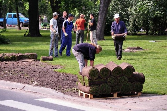 Od kilku dni w parku Planty na odcinku od Kościuszki do Chałubińskiego pracownicy firmy wynajętej przez Zakład Usług Komunalnych kładą rolowaną trawę.