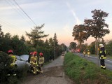 Czołowe zderzenie samochodów w Ostromecku pod Bydgoszczą, są ranni!