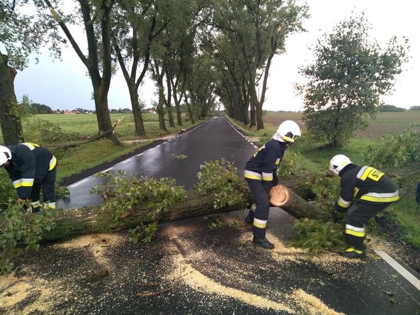 Burze we Wrocławiu i na Dolnym Śląsku. Pół tysiąca interwencji straży, połamane drzewa, zatrzymane pociągi [GDZIE JEST BURZA - 5.09.2020]