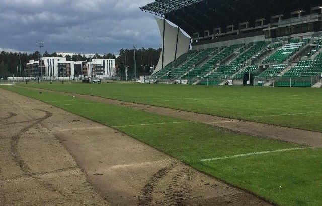 Firma Florena zadba o to, aby „Stalówka” znów miała na stadionie gęsty, zielony dywan
