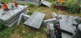 Trzy tysiące za wskazanie sprawców dewastacji cmentarza w Bydgoszczy (foto, wideo)