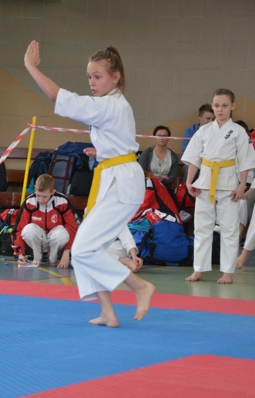 W sobotę odbył się w Lipnie Ogólnopolski Turniej Karate...