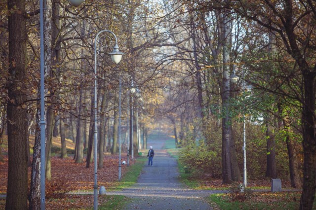 Park Kościuszki w Katowicach.