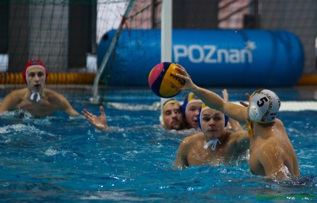 Piłkarze wodni Waterpolo Poznań zaprezentowali się z dobrej strony na tle niezwykle mocnych rywali