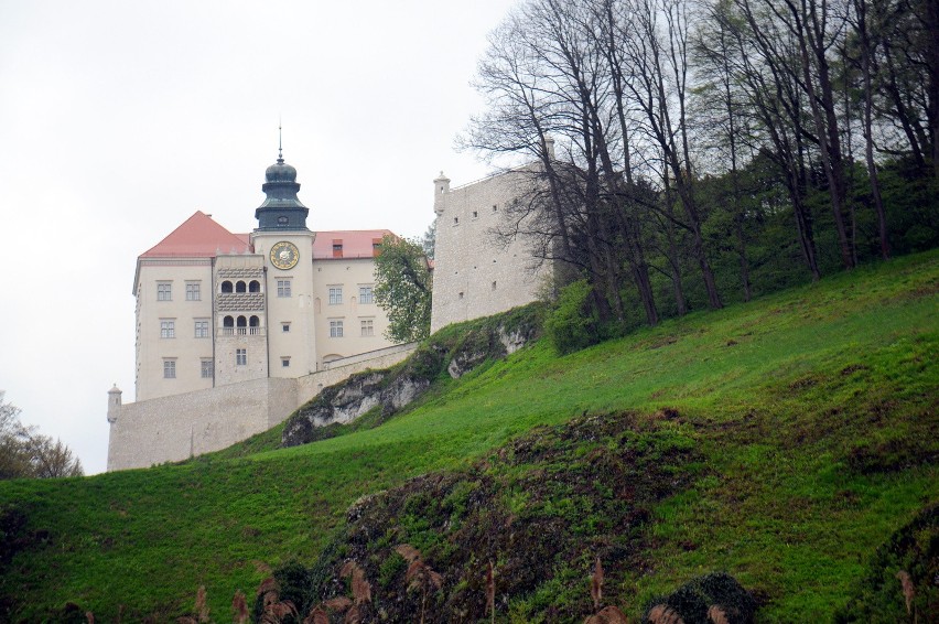 Zamek Pieskowa Skała leży wśród malowniczych skał i ostańców...