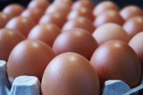 KIPDiP: Import produktów jajecznych z Ukrainy odbywa się „tylnymi drzwiami”