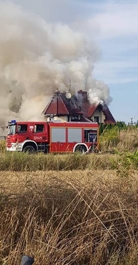 W sobotę w Świlczy palił się dom mieszkalny jednorodzinny i budynek gospodarczy. - Wczoraj po godz. 16 strażacy dostali zgłoszenie o pożarze domu jednorodzinnego i budynku mieszkalnego - mówi mł. bryg. Adam Burda, dyżurny operacyjny Komendy Wojewódzkiej Państwowej Straży Pożarnej w Rzeszowie. - Na miejscu pracowało sześć zastępów PSP i 6 zastępów Ochotniczej Straży Pożarnej. Łącznie w gaszenie pożaru zaangażowanych było 12 zastępów straży, czyli 48 strażaków.Przyczyny pożaru nie są jeszcze znane.Zobacz też: W nocy spłonęło mieszkanie w 4-piętrowym bloku w Przemyślu. Ewakuowano ludzi [ZDJĘCIA]