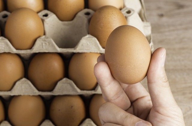 Jajka muszą być przechowywane w stałej temperaturze.