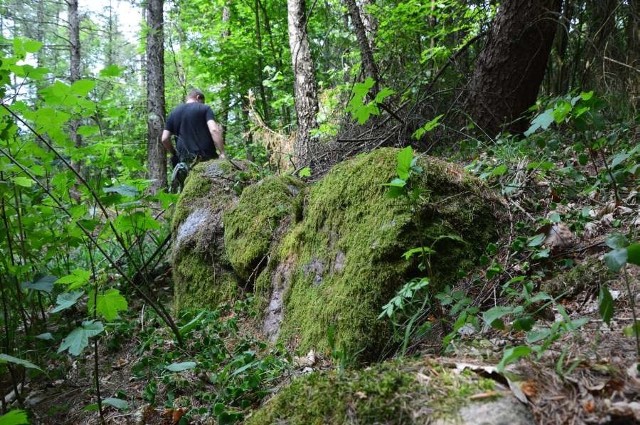 Gałęzie, chaszcze i mech ukrywają ślady po prehistorycznych albo wczesnośredniowiecznych mieszkańcach Pomorza. Na zdjęciu - otoczony kamieniami kurhan o średnicy kilkunastu metrów. Jeden z ostatnich, które pozostały po wielkim cmentarzysku.