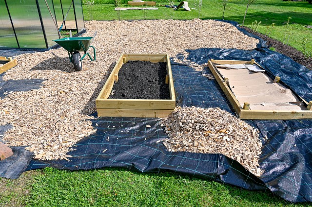 Ściółkowanie kartonami to sposób na przygotowanie ziemi pod uprawę. Można to stosować przy tradycyjnych grządkach, ale też podwyższonych.