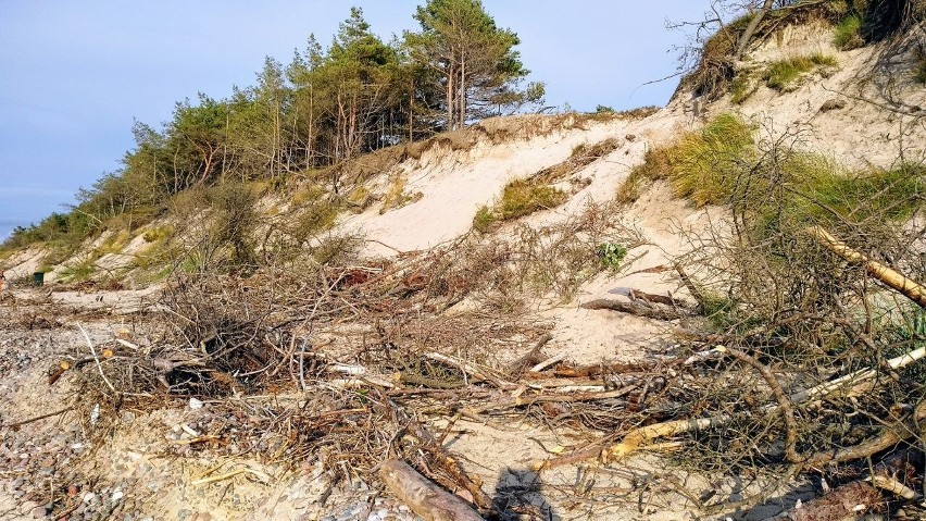 Paradoks w Rowach. Przez plażę nie przejdziesz, a na terenie parku grozi mandat