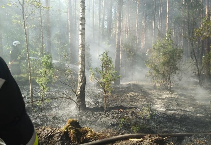 Niedziela dla strażaków z OSP Wasilków rozpoczęła się o 7.24...