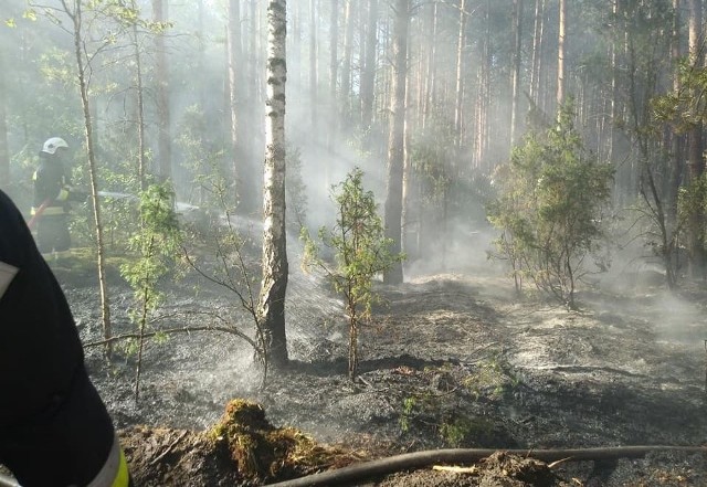 Niedziela dla strażaków z OSP Wasilków rozpoczęła się o 7.24 wyjazdem do pożaru lasu w okolicach stacji Czarny Blok.Zdjęcia dzięki uprzejmości OSP Wasilków