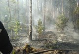 Stacja Czarny Blok. Poranny pożar lasu. Strażakom pomógł samolot (zdjęcia)